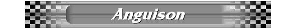 Anguison